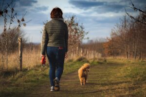 woman, dog, path, walk, dog walk, animal, winter, outdoors, surrey, england, epsom, nature, field, grass, pet, cavapoo, cavapoochon